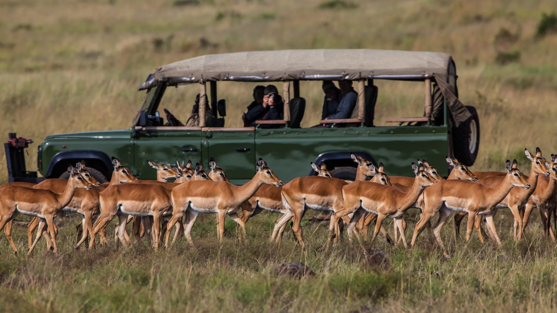 3-Day Budget Serengeti Safari