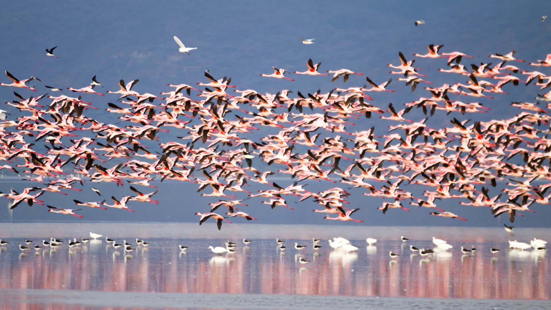 Lake Manyara