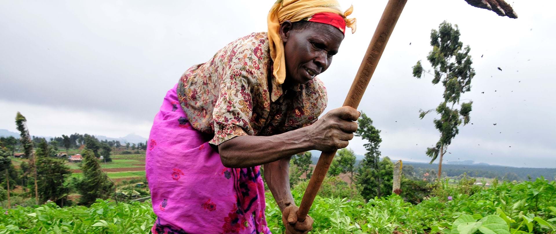 Agricultural Tourism Tanzania