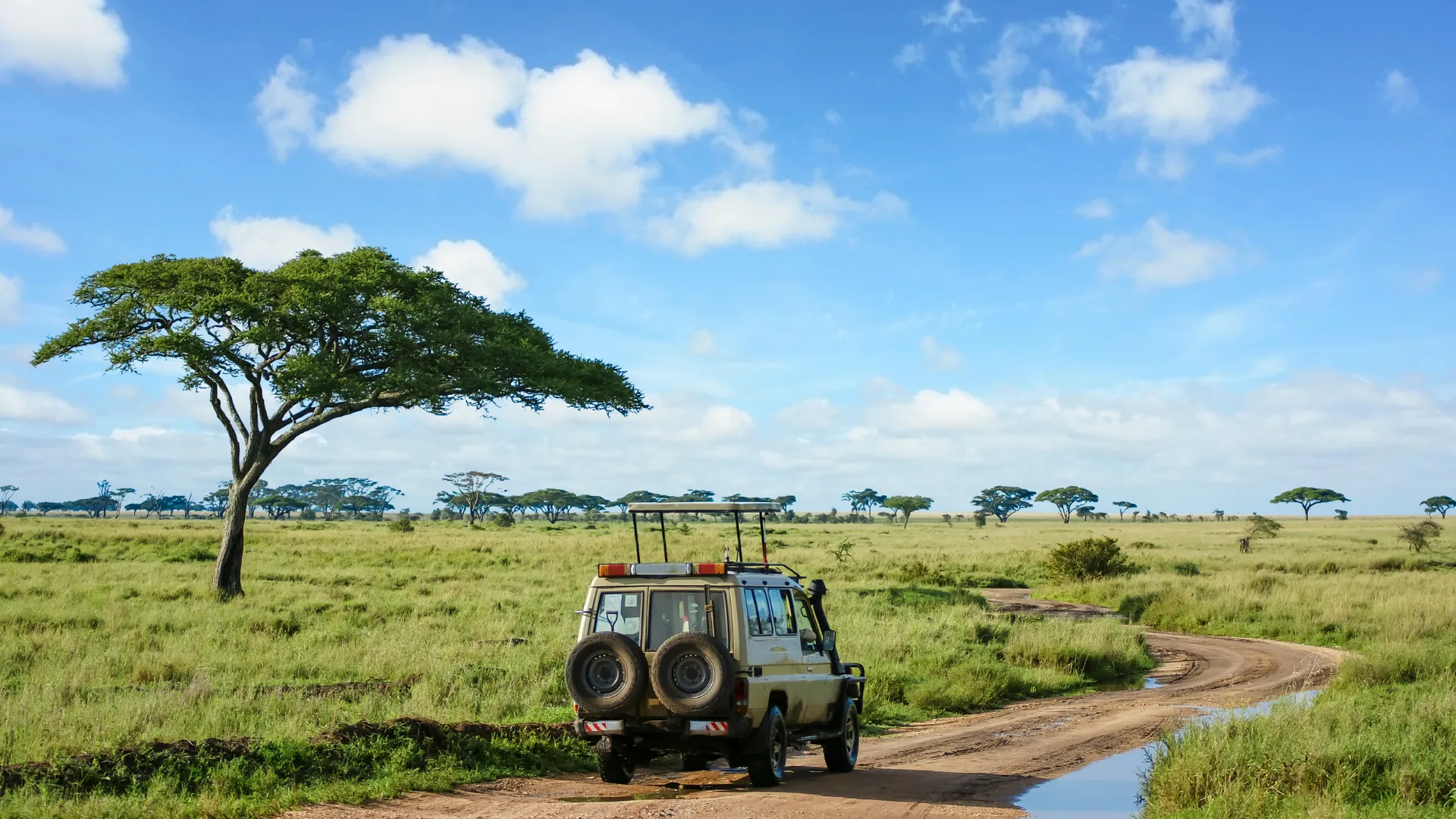 4-Day Budget Northern Circuit Safari