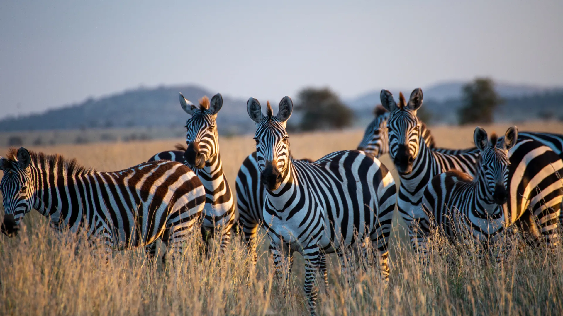 Tanzania Destinations
