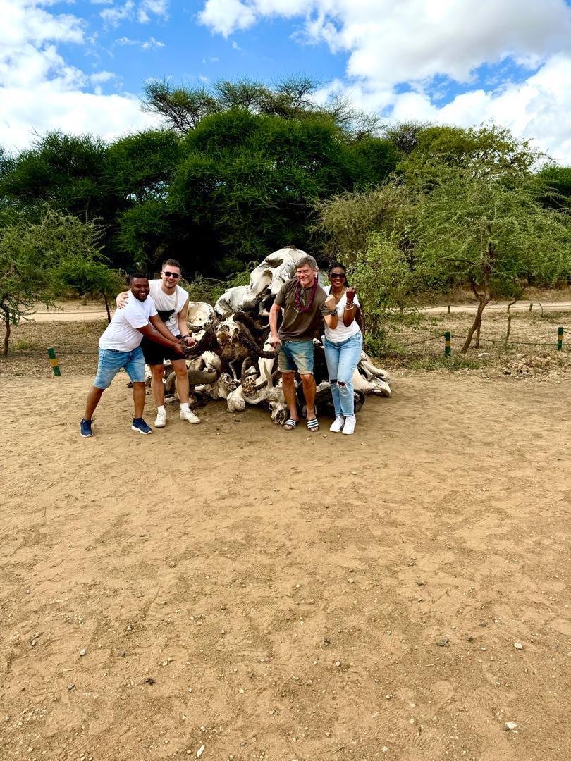 Adventure Safari