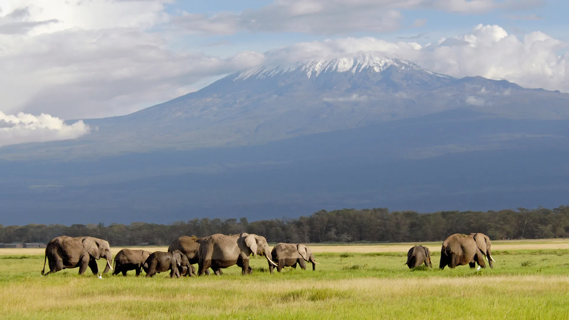 Ngorongoro Crater safari tour