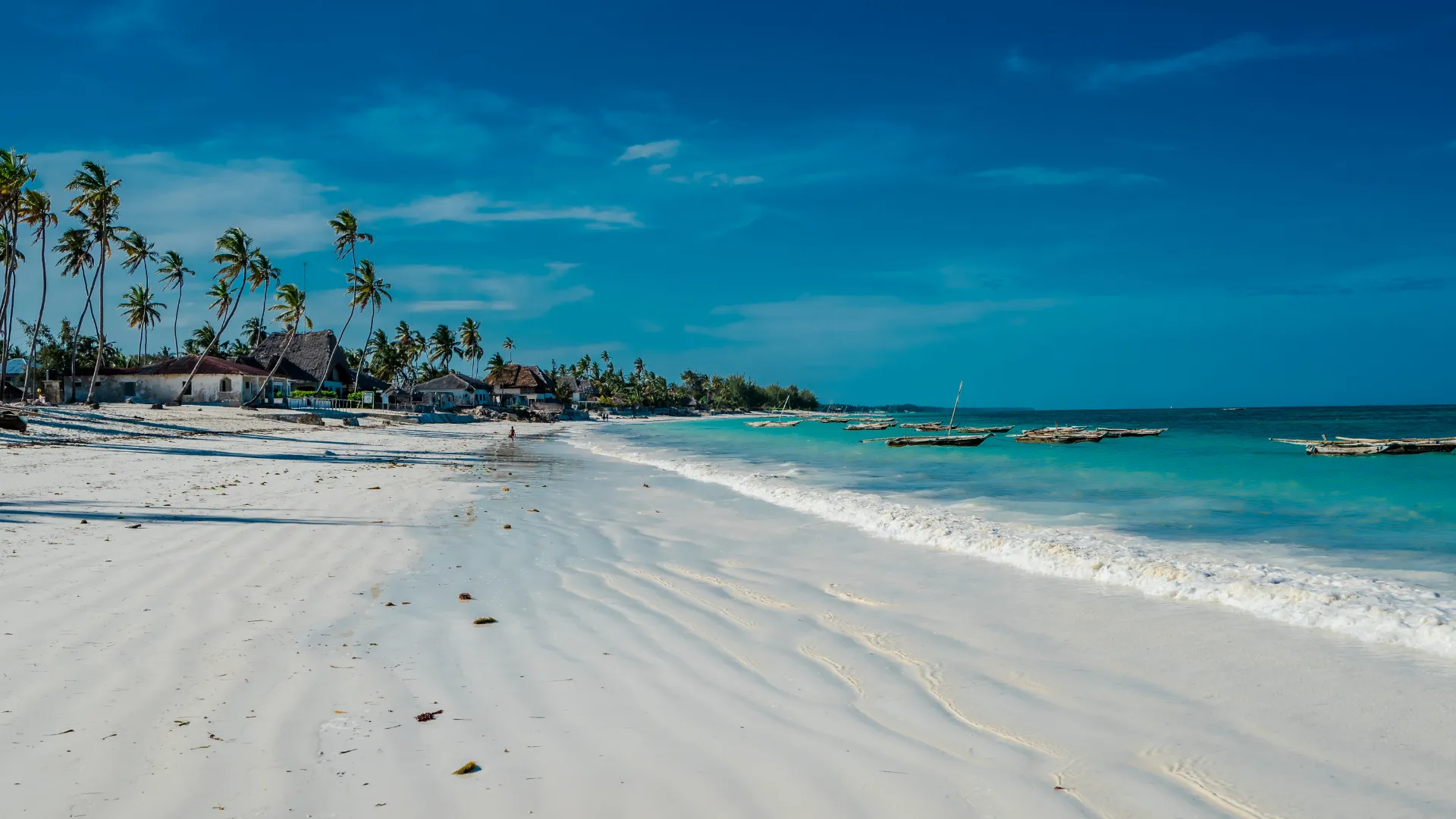 Zanzibar Escapes