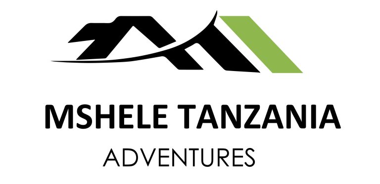 Mshele Adventures