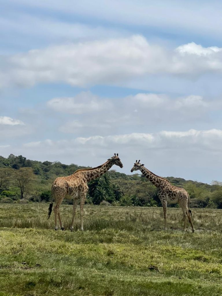 Katavi National Park