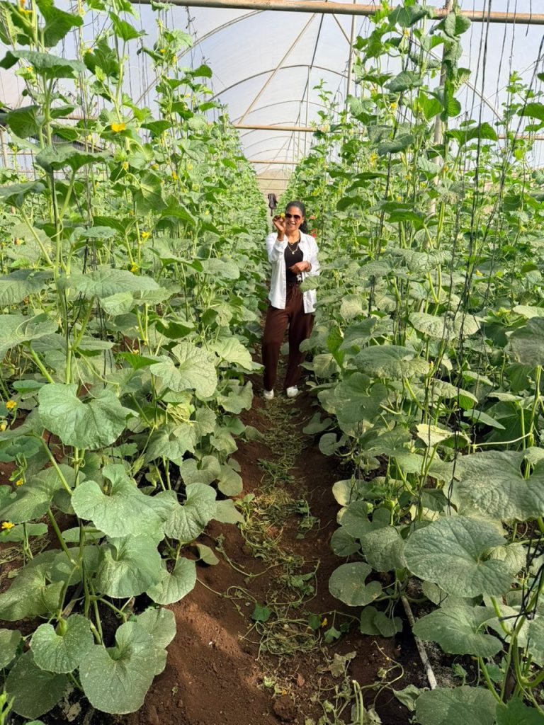 Agricultural Tourism