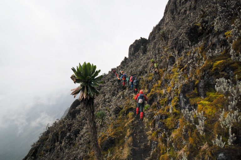 7 Days Kilimanjaro Machame Route Trek — Premium Adventure