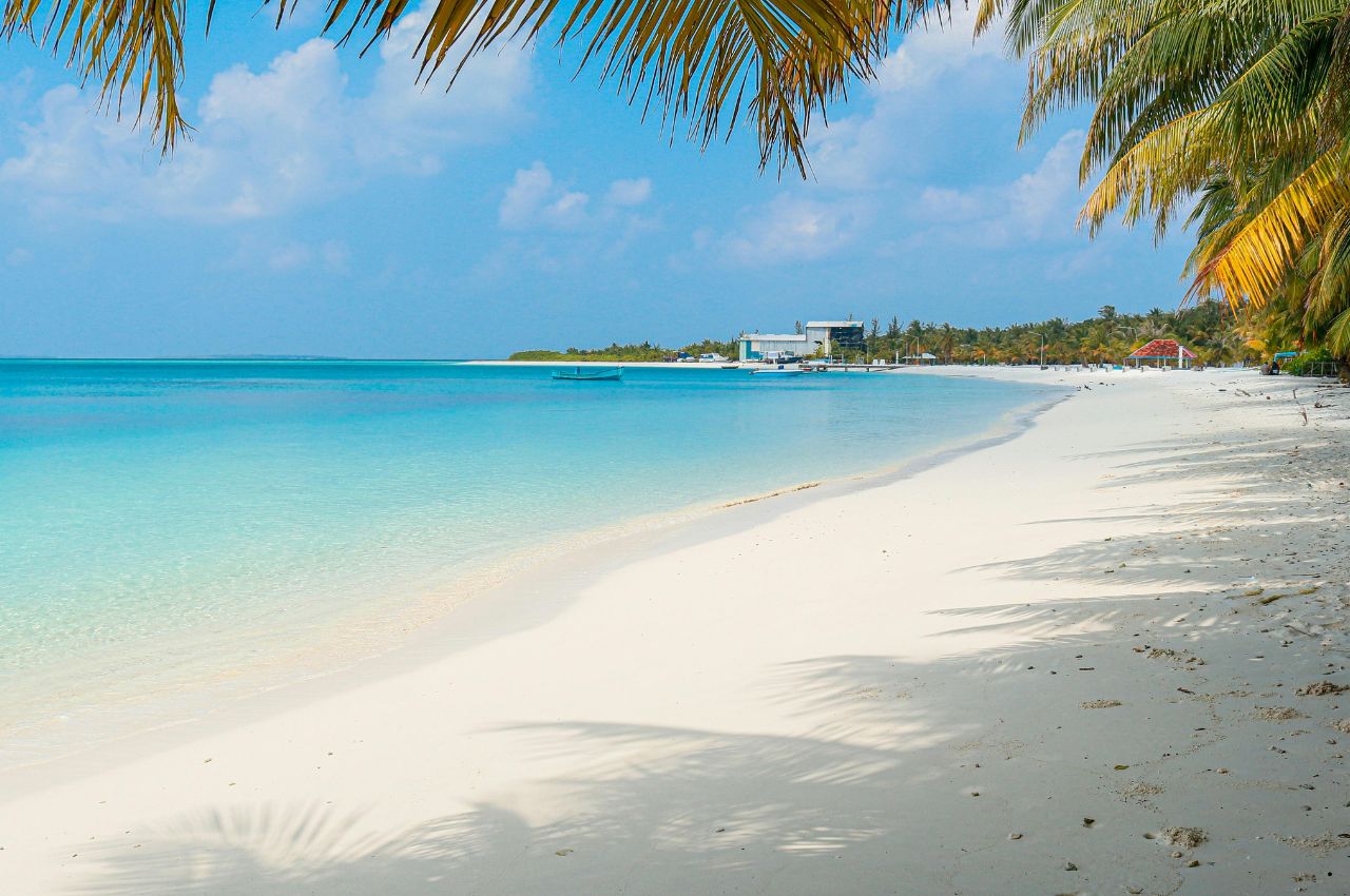 Tanzania Safaris and Zanzibar (1)
